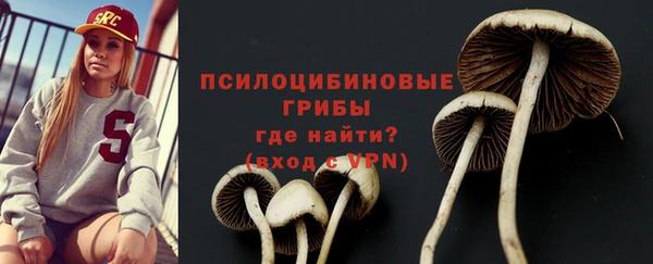 спайс Алзамай