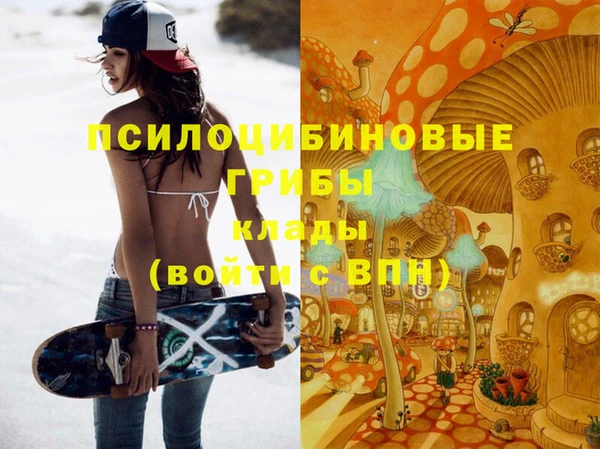 спайс Алзамай