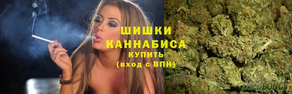 ешки Алексин